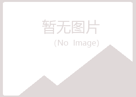 琼山字迹电讯有限公司